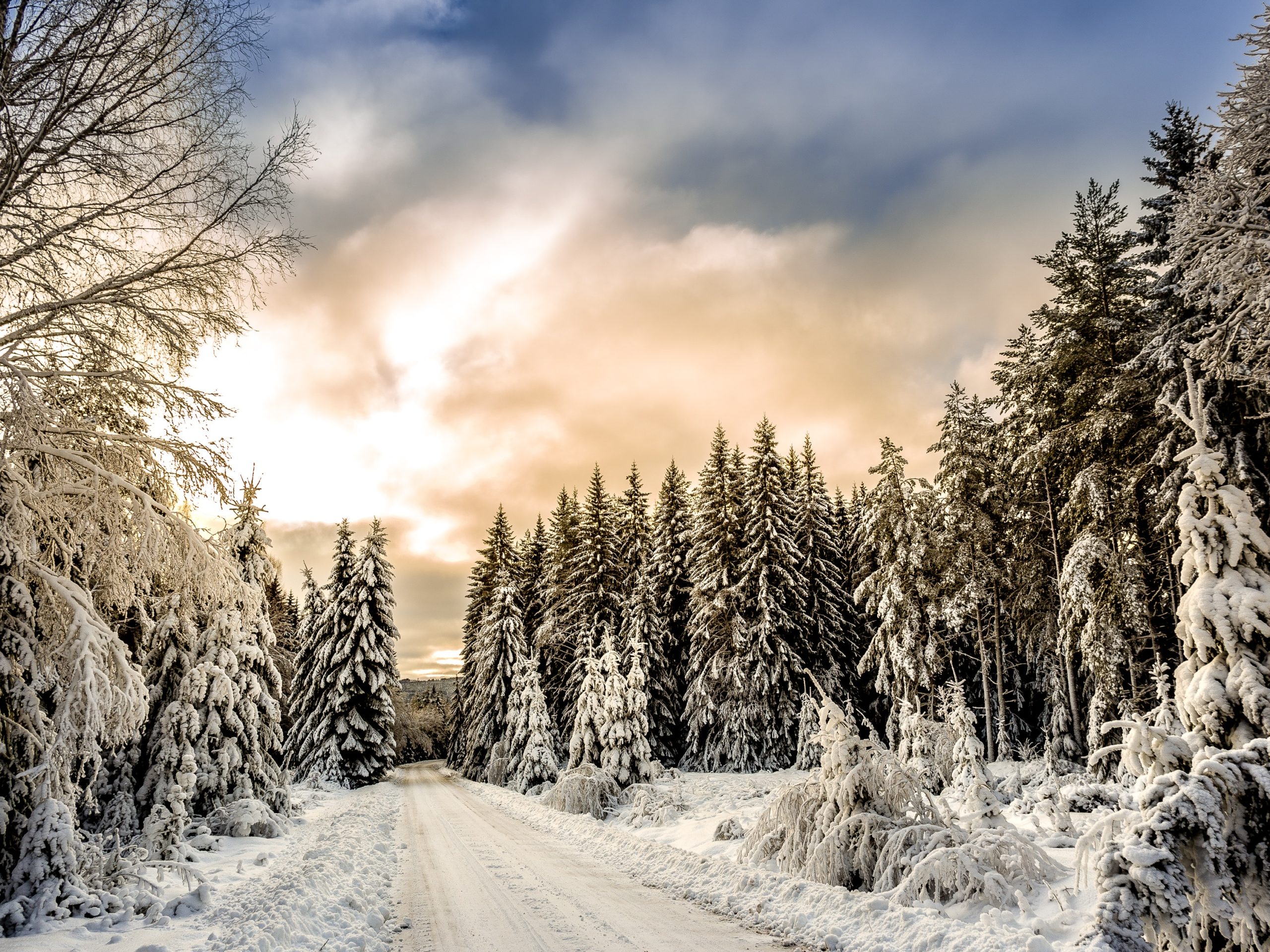 6 Reasons to Visit Sweden in Winter, Travel Blog