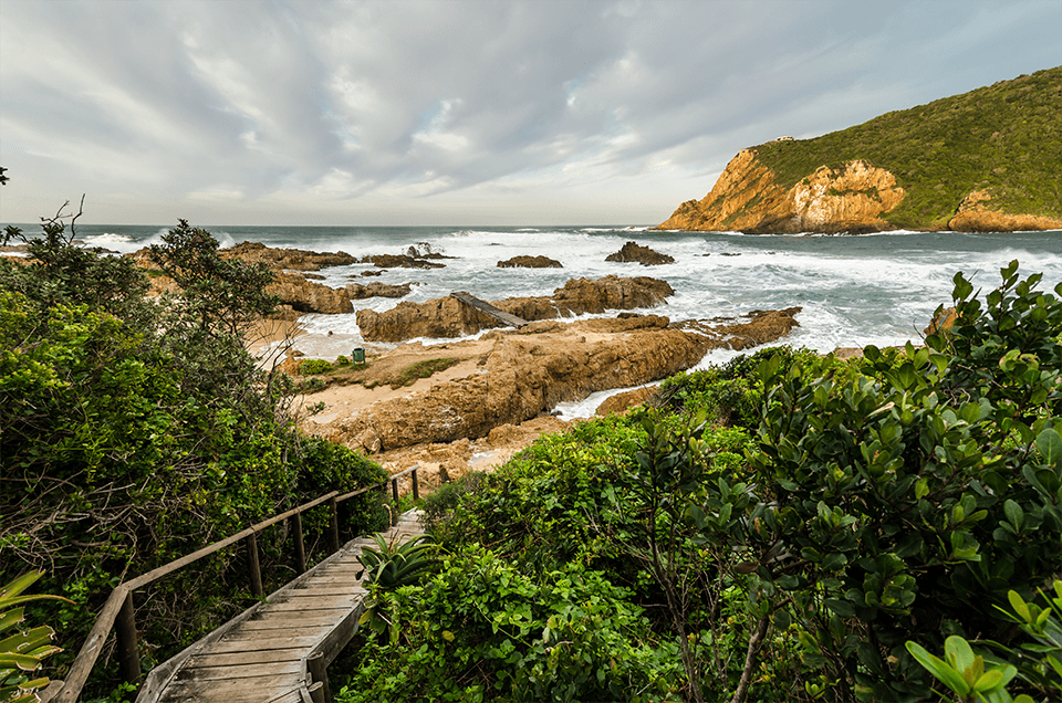 Top 10 Reasons to Visit South Africa