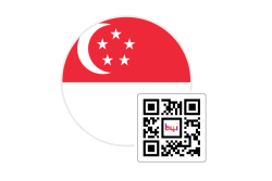 b4i.travel eSIM for Singapore
